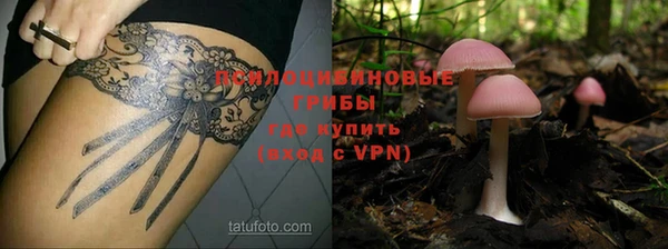 а пвп мука Алексин
