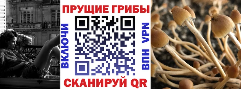 это формула  даркнет сайт  Люберцы  Галлюциногенные грибы MAGIC MUSHROOMS 