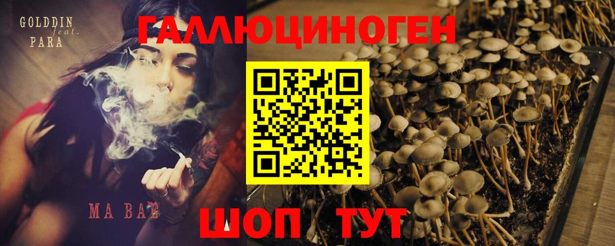 Галлюциногенные грибы MAGIC MUSHROOMS Люберцы